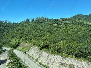 Stanley - Redhill Peninsula 04