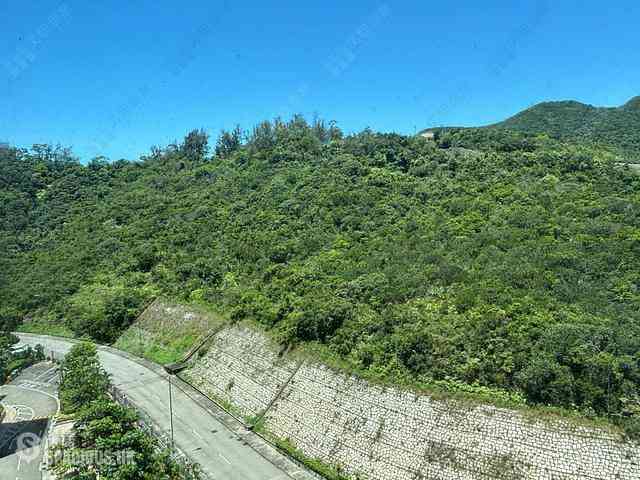 Stanley - Redhill Peninsula 04