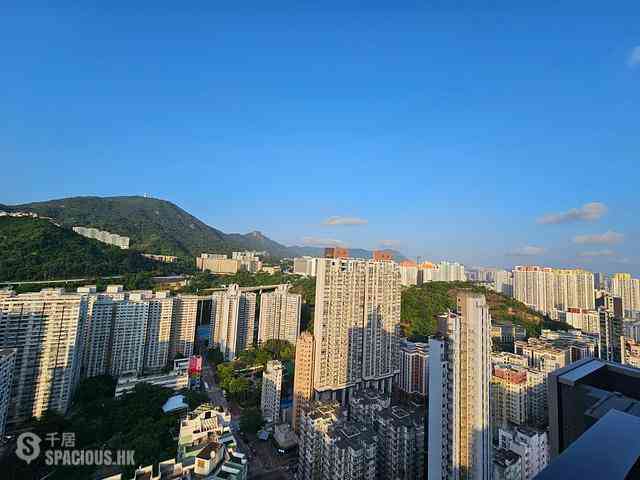 Cheung Sha Wan - The Harmonie 04