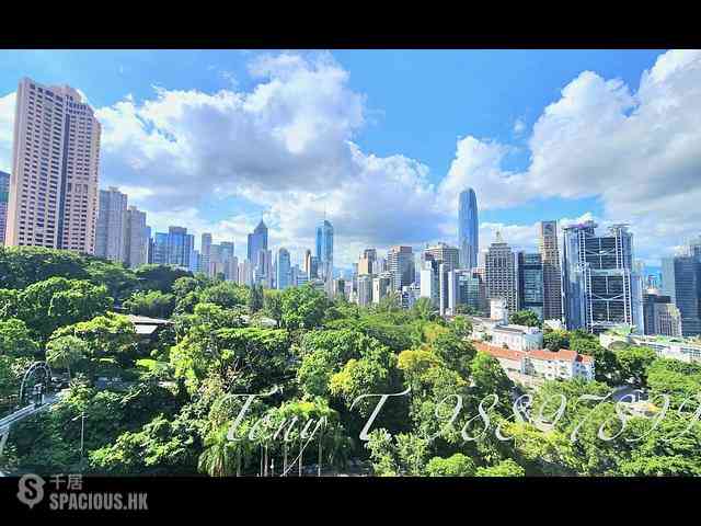 中半山 - 君珀 01