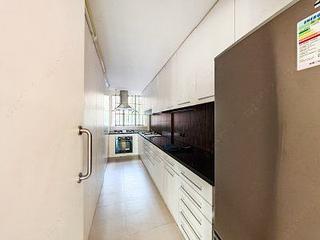 The Peak - Stewart Terrace 06