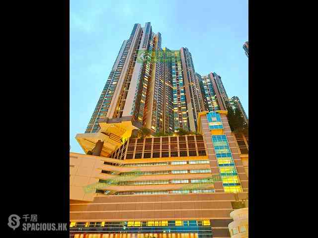 Shek Tong Tsui - The Belcher's 32