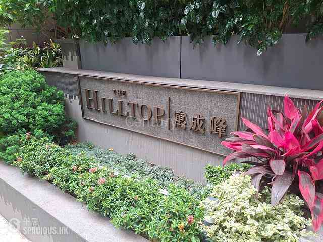 Shek Tong Tsui - The Hilltop 11