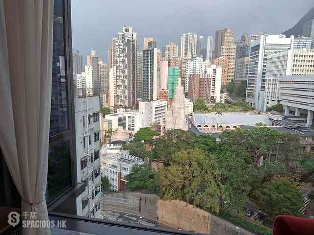 Shek Tong Tsui - The Hilltop 02