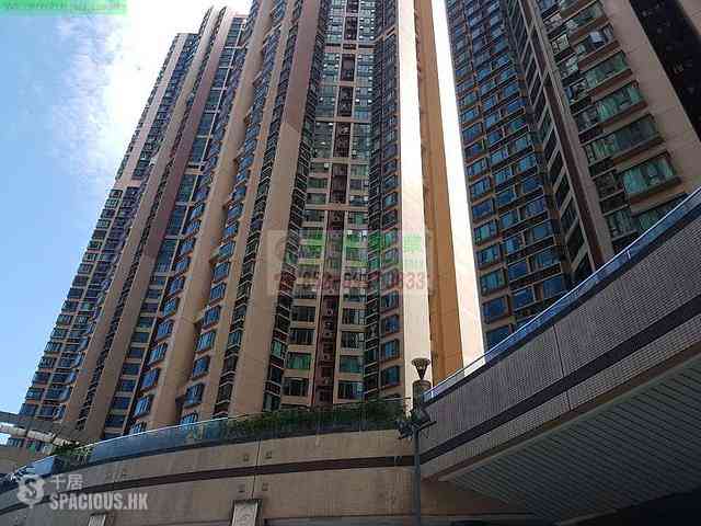 Shek Tong Tsui - The Belcher's 25