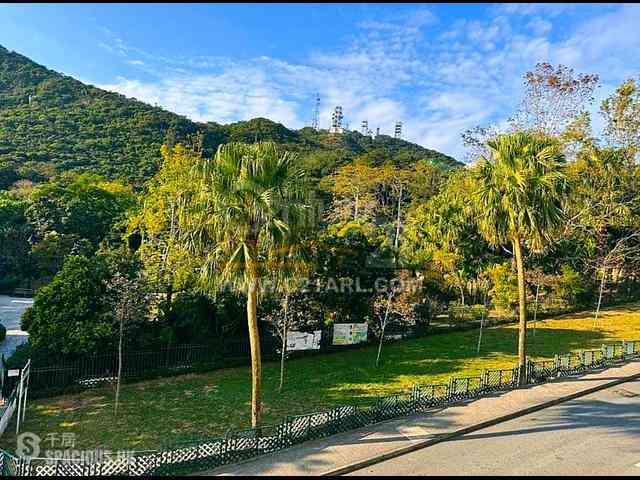 The Peak - The Mount Austin 15