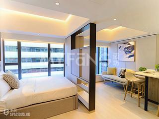Sheung Wan - The Bauhinia 02