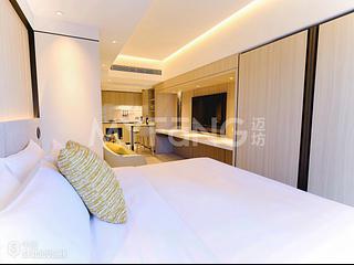 Sheung Wan - The Bauhinia 10
