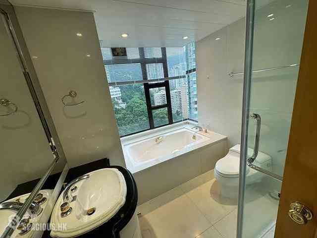 Mid Levels Central - Fairlane Tower 11