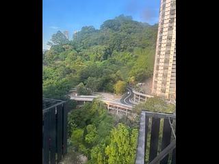 Tai Hang - Dragon Centre 02