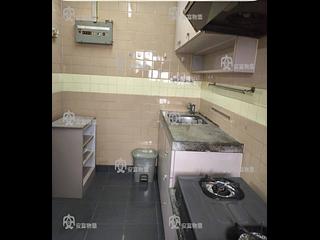 大埔 - 逸雅苑 逸欣閣 (B座) 03