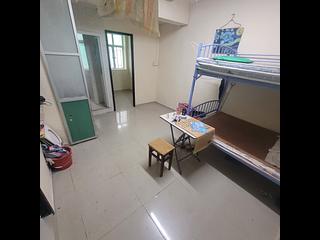 Mong Kok - 3D, Nelson Street 03