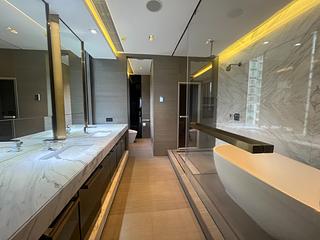 大坑 - 春晖8号 10