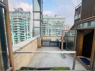 大坑 - 春晖8号 12