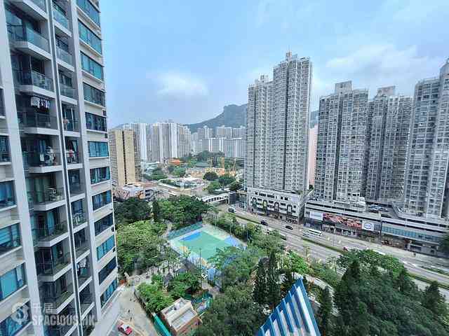 Wong Tai Sin - Lions Rise 24