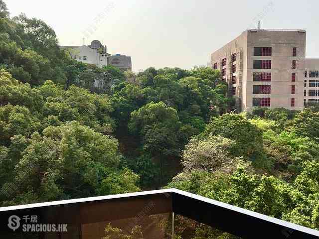 西半山 - 琼峰台 06