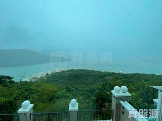 赤柱 - 玫瑰园 03
