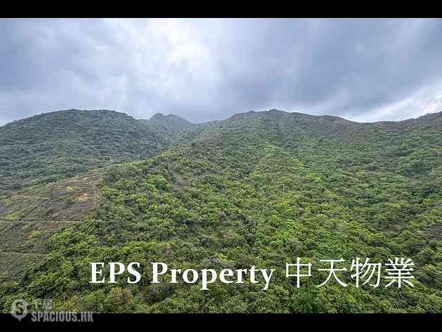 愉景湾 - 愉景湾5期 颐峰 菘山阁 (7座) 11