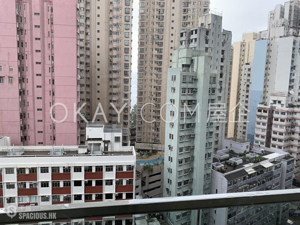 坚尼地城 - Lexington Hill 01