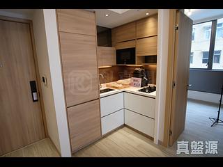 Jordan - Arbour 09