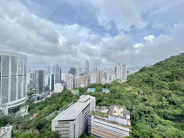 東半山 - 寶雲殿 02