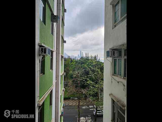 Tin Hau - Viking Garden 08