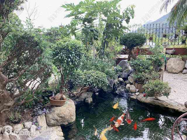 The Peak - Peak Villas 02