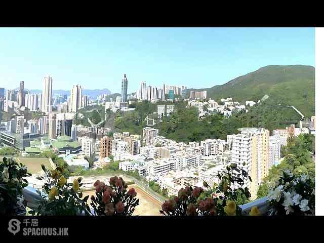 司徒拔道 - 蔚豪苑 01
