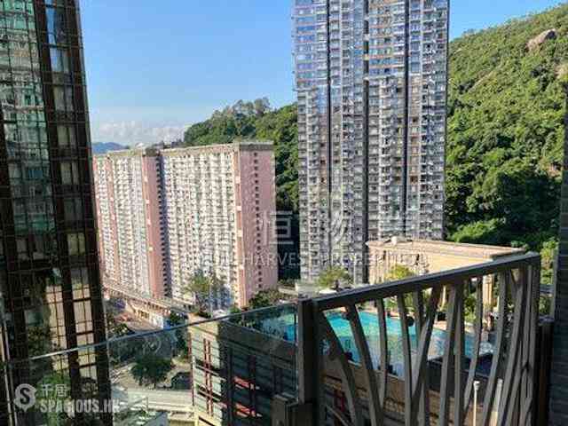 Tai Hang - The Legend 14