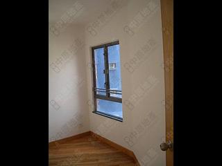 Central - Hollywood Terrace 07