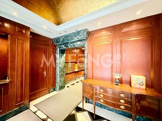 Mid Levels Central - 62B, Robinson Road 16