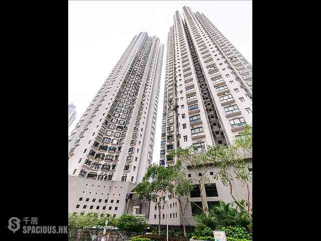 Causeway Bay - Illumination Terrace 01