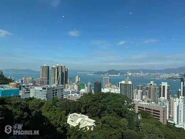 西半山 - 璈珀 04