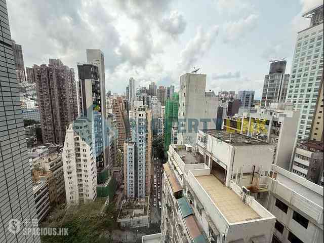 Central - Hollywood Terrace 10