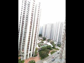 太古城 - 太古城 海景花園(東) 碧藤閣 (42座) 19