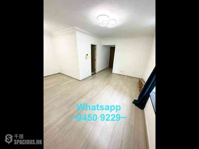 Central - Hollywood Terrace 01