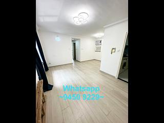 Central - Hollywood Terrace 02