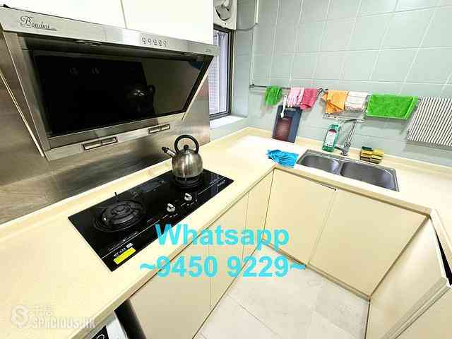 Central - Hollywood Terrace 07