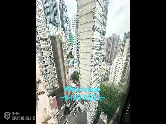 Central - Hollywood Terrace 18