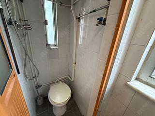 Mid Levels West - Greenview Gardens 03
