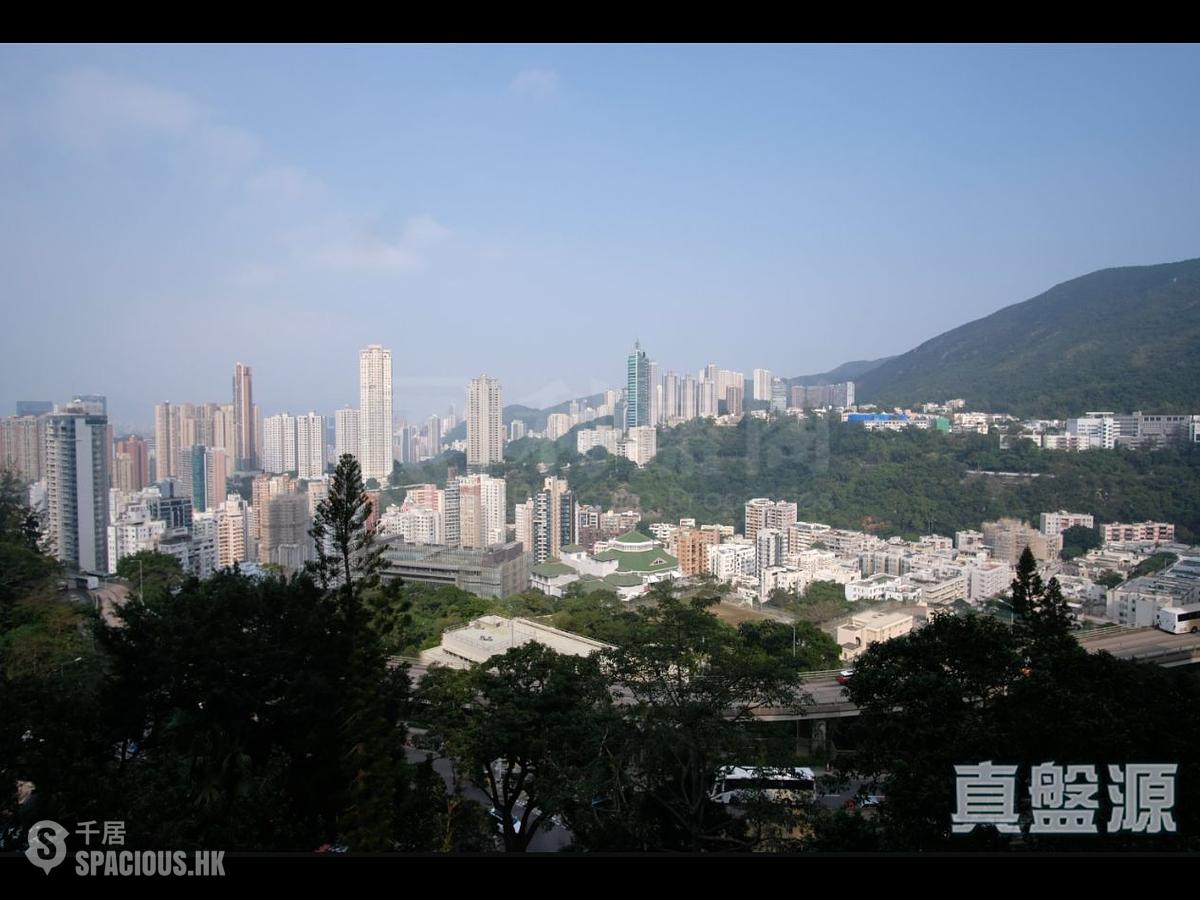 司徒拔道 - 怡园 01