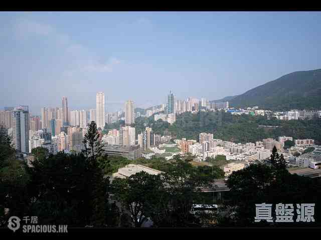 司徒拔道 - 怡园 01