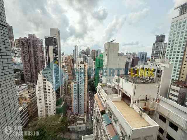 Central - Hollywood Terrace 05