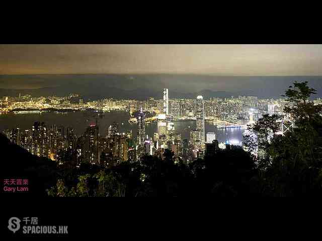 The Peak - Mountain View Block 27, Plantation Road 09