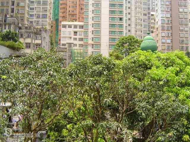 中半山 - 德苑 07