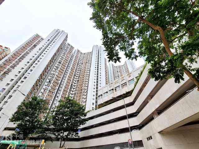 Chai Wan - Greenwood Terrace Block 7 08