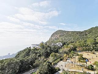 山顶 - The Mount Austin 02