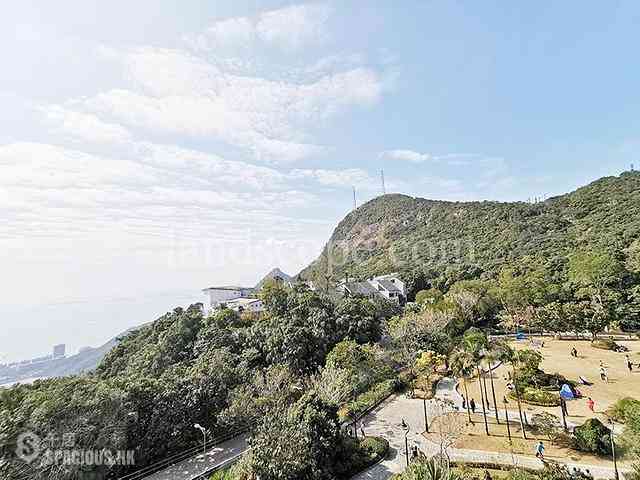 山顶 - The Mount Austin 02