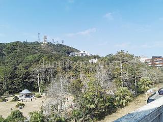 山顶 - The Mount Austin 03
