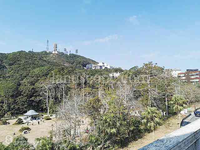 山顶 - The Mount Austin 03